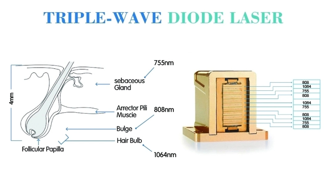 Trombone Saxello Brazilian Body Machine Wave Remy Deep Wave Hair Extensions Sax Soprano Cornet for Sale