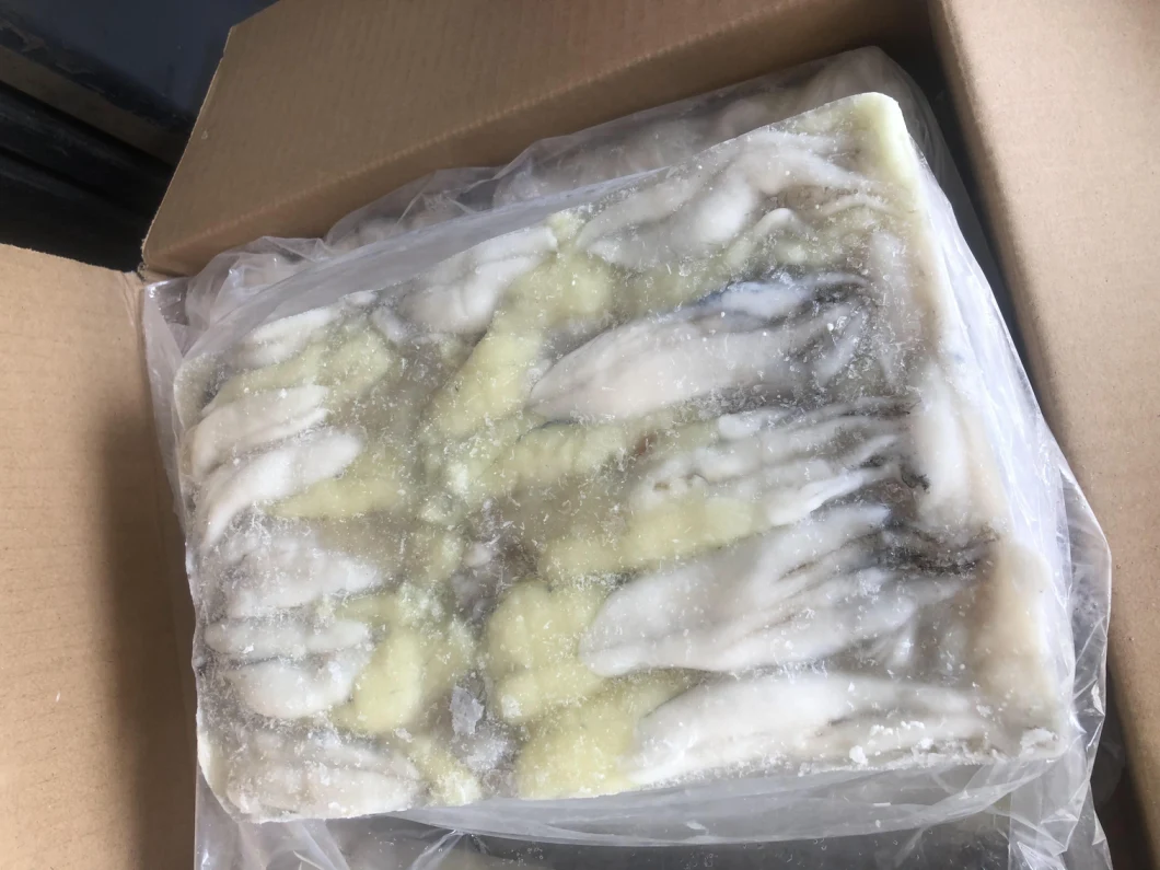 Frozen Illex Squid Roe with Best Price (Argntina Illex)