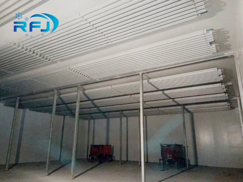 Professional Manufactory Large Commercial Frozen Cold Room for Meat and Sea Food