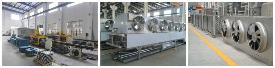 New Condition IQF Spiral Blast Freezer for Frozen Fish Fillet with High Efficiency