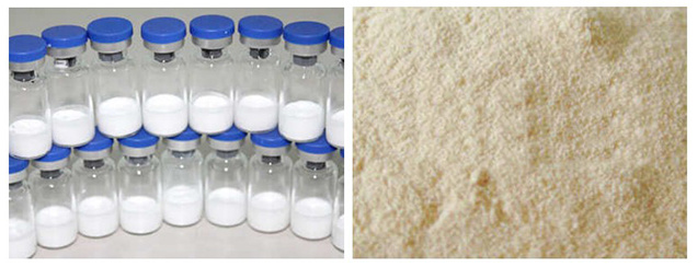 Freeze Dried Camel Milk Powder Lyophilizer Freeze Dryer Equipment