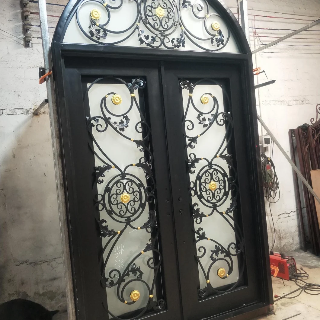 Custom Entry Modern Operable Double Glass Window Wrought Iron Door Security Windows and Doors for Home