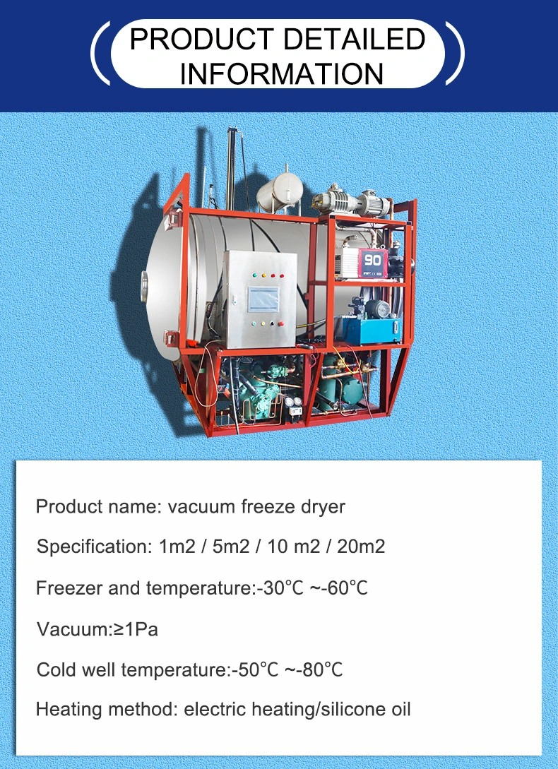 High Quality Vacuum Freeze Dry Freeze Dryer 100kg Vacuum Sealing Freeze Dried Food