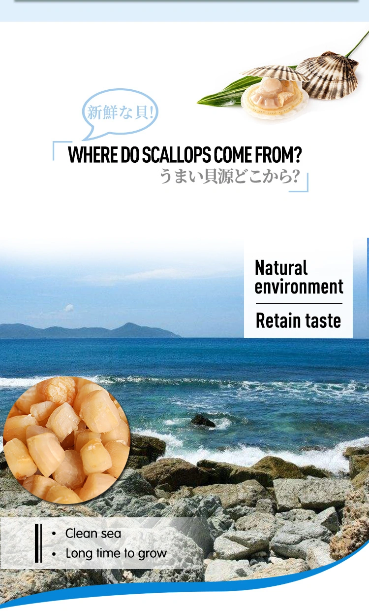 Scallop Is a Kind of Food, It Is a Dried Product of Scallop
