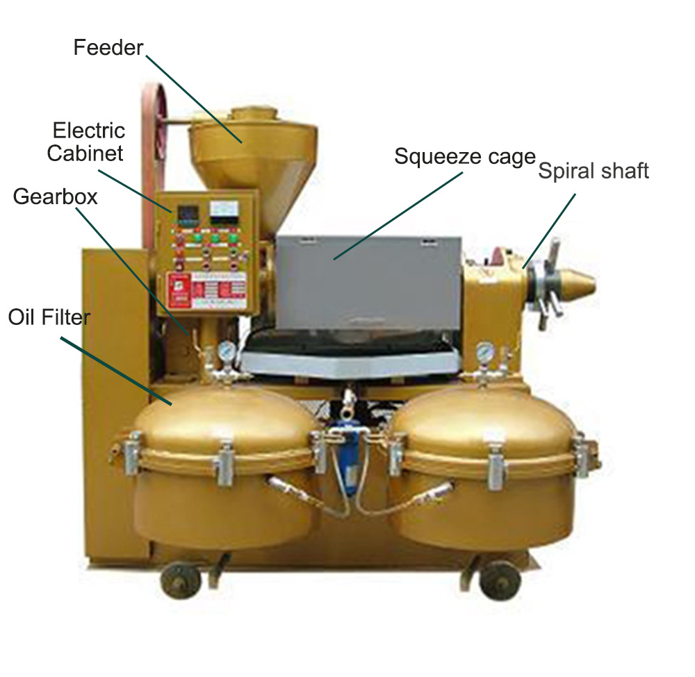 Cold Press Automatic 2 in 1 Oil Press with Vacuum Filter Processing 10tons Per Day