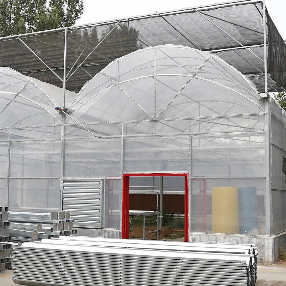 Plastic Film Covering Tunnel Agricultural Pep Film Greenhouse