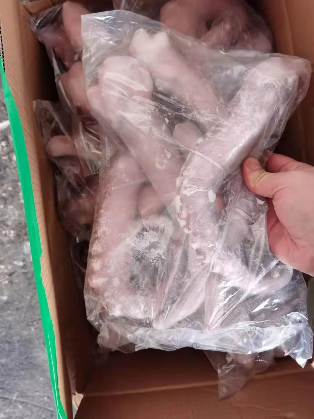 Frozen Seafood Giant Squid Tentacles