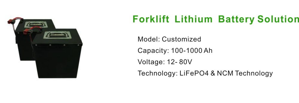 Everexceed 24V 200ah Rechargeable Lithium Iron Battery / LiFePO4 Lithium Battery Pack for Electric Forklift Truck