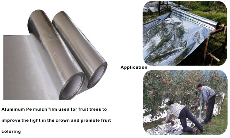 China Supplier LDPE Aluminum Plastic Mulch Film Aluminum Foil Film