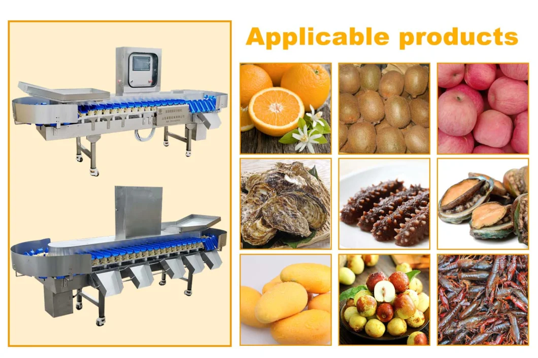 Crayfish, Sea Cucumber and Abalone Weight Sorter Box Type Chicken Claw Sorter for Food Factory