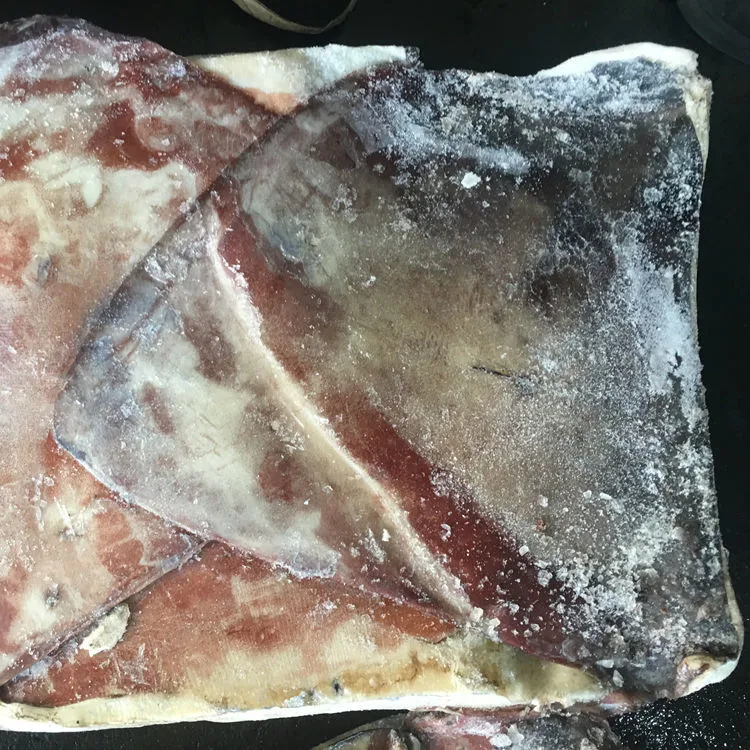 New Landing Peru Frozen Giant Squid Wings From China