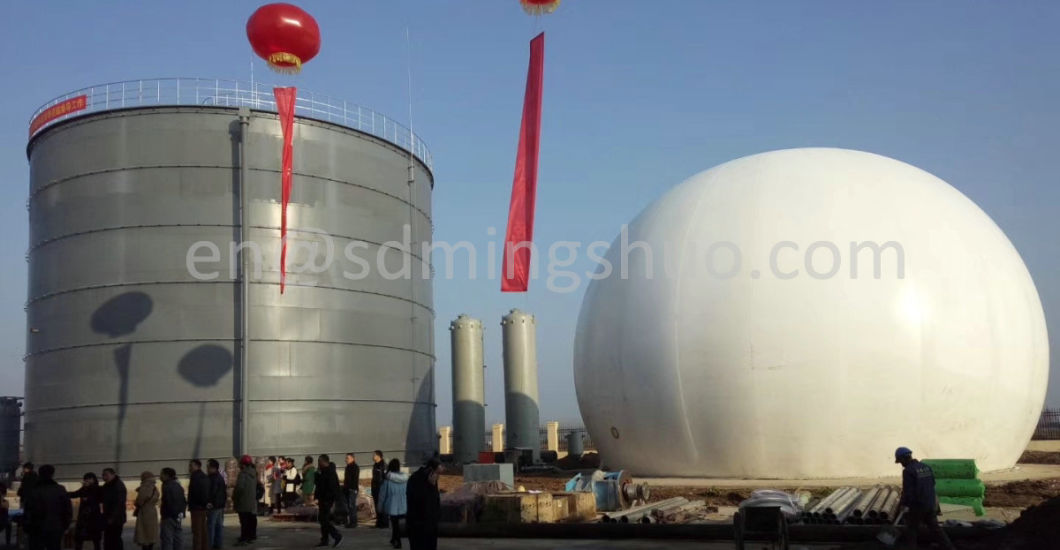 Flexible Membrane Dome Gas Storage Bag Tank Container for Biogas