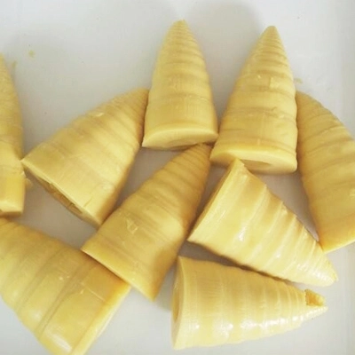 Hot Selling Canned Whole Bamboo Shoots