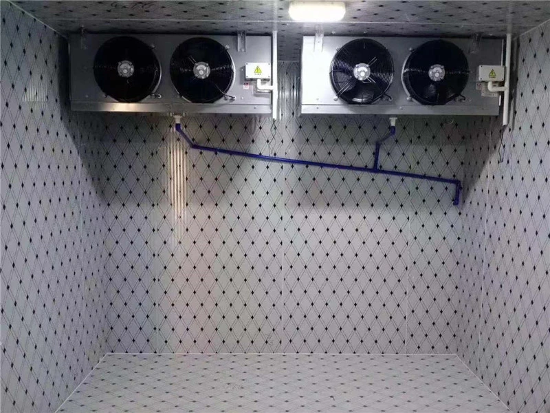 Cold Storage Room Walk in Cold Room Price for Frozen Fish, Frozen Chicken, Seafood, Meat Freezer
