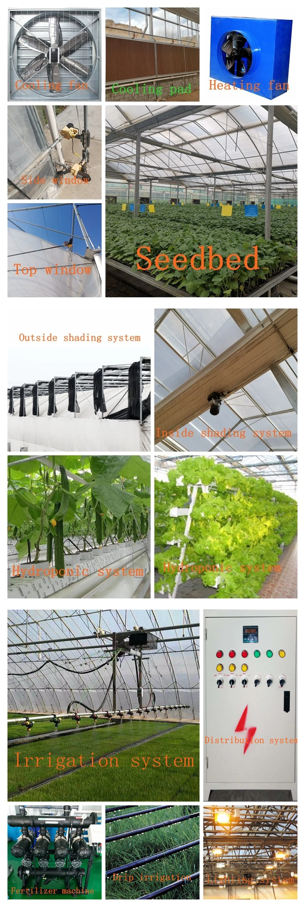 Multi-Span Plastic Film Covering Tropical Hydroponic Growing/Planting/Farming Greenhouse for Vegetables/Flowers/Cucumbers/Tomatoes