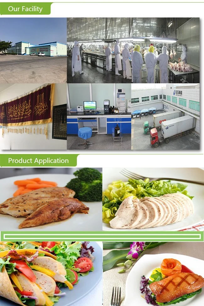 Frozen Halal Chicken Breast with High Quality