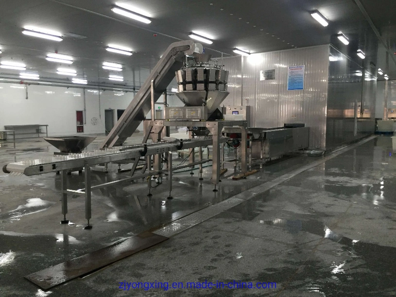 New Condition IQF Spiral Blast Freezer for Frozen Fish Fillet with High Efficiency