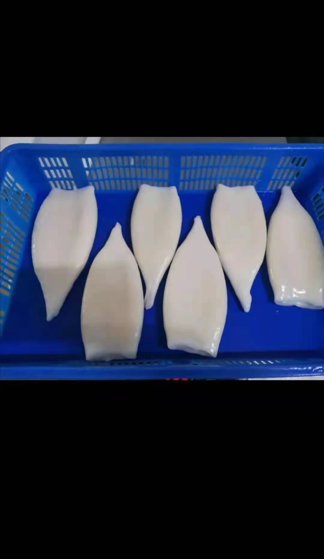 Frozen Seafood Giant Squid Tube with Cheap Price