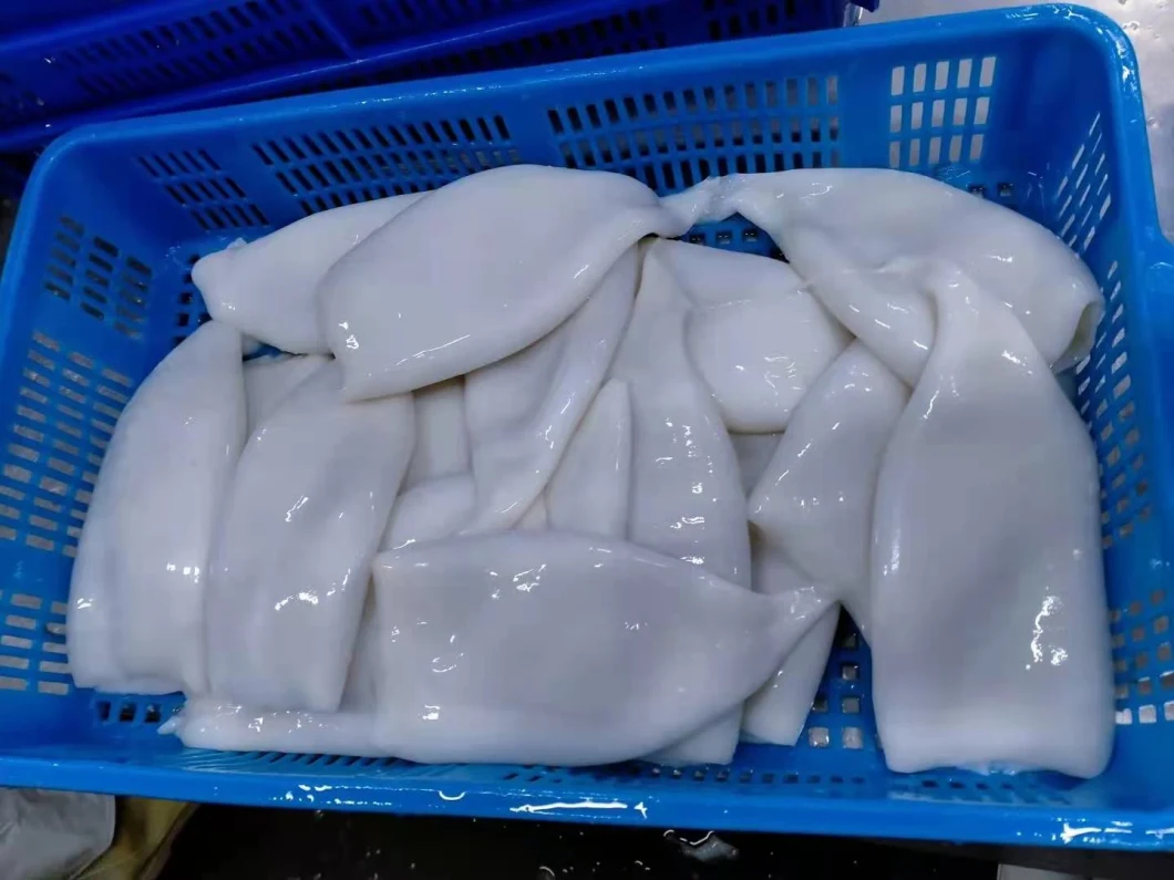 Good Quality Frozen Squid Tube on Sale
