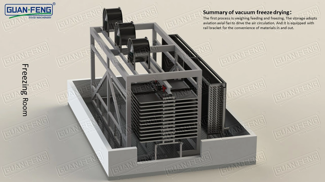 50m2 Vacuum Freeze Dryer for Freeze-Dried Herbs Processing Industry