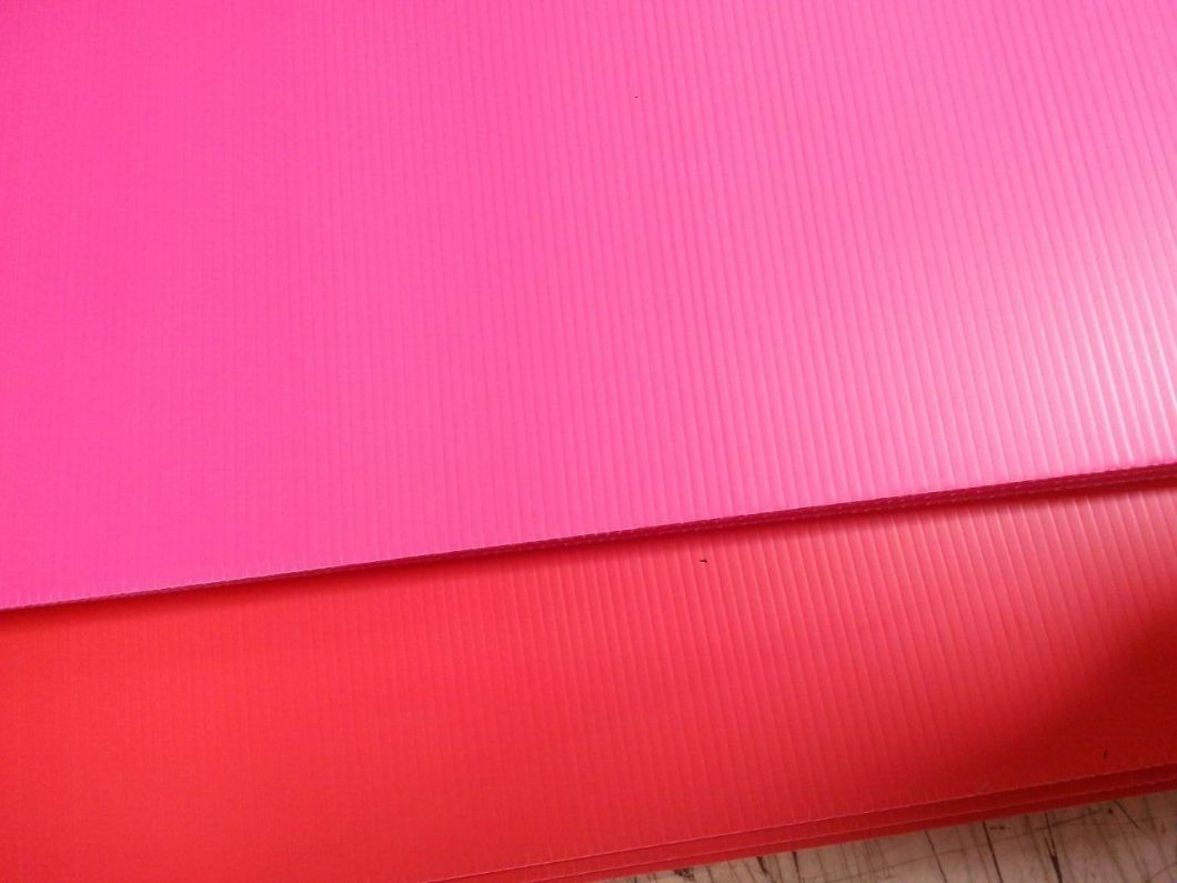 PP Hollow Corrugated Plastic Coroplast Transparent Sheet for Floor Protection