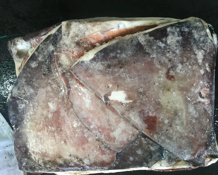 New Landing Peru Frozen Giant Squid Wings From China