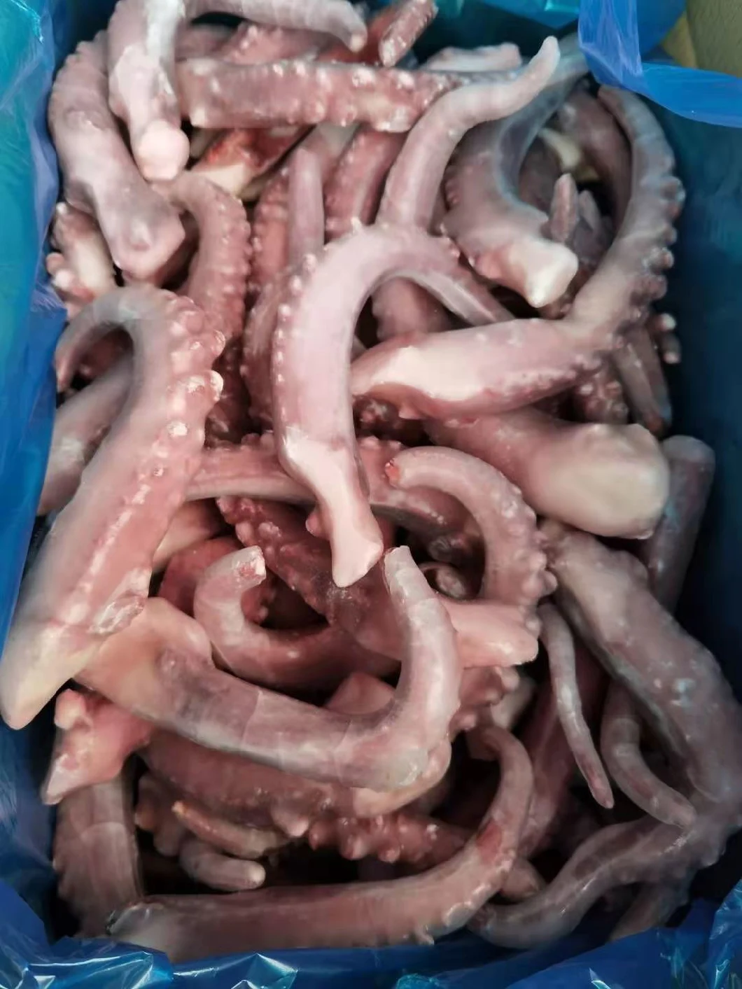 Frozen Seafood Giant Squid Tentacles