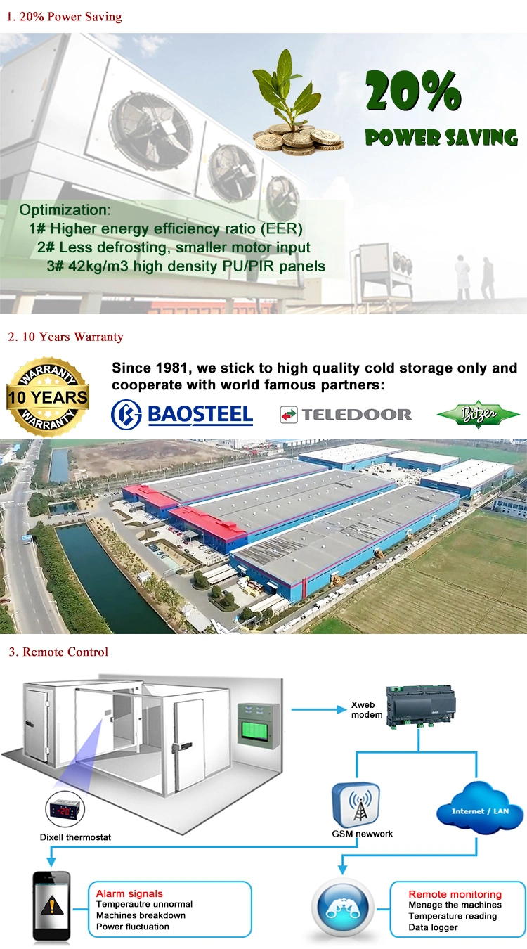 Frozen Rabbit Wholesale Frozen Seafood Cold Room Production Cold Storage Salad Cold Storage Warehouse Construction