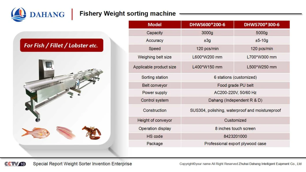 Seafood /Fish Fillet/ Marine Fish Weight Sorting Machine with Competitive Price