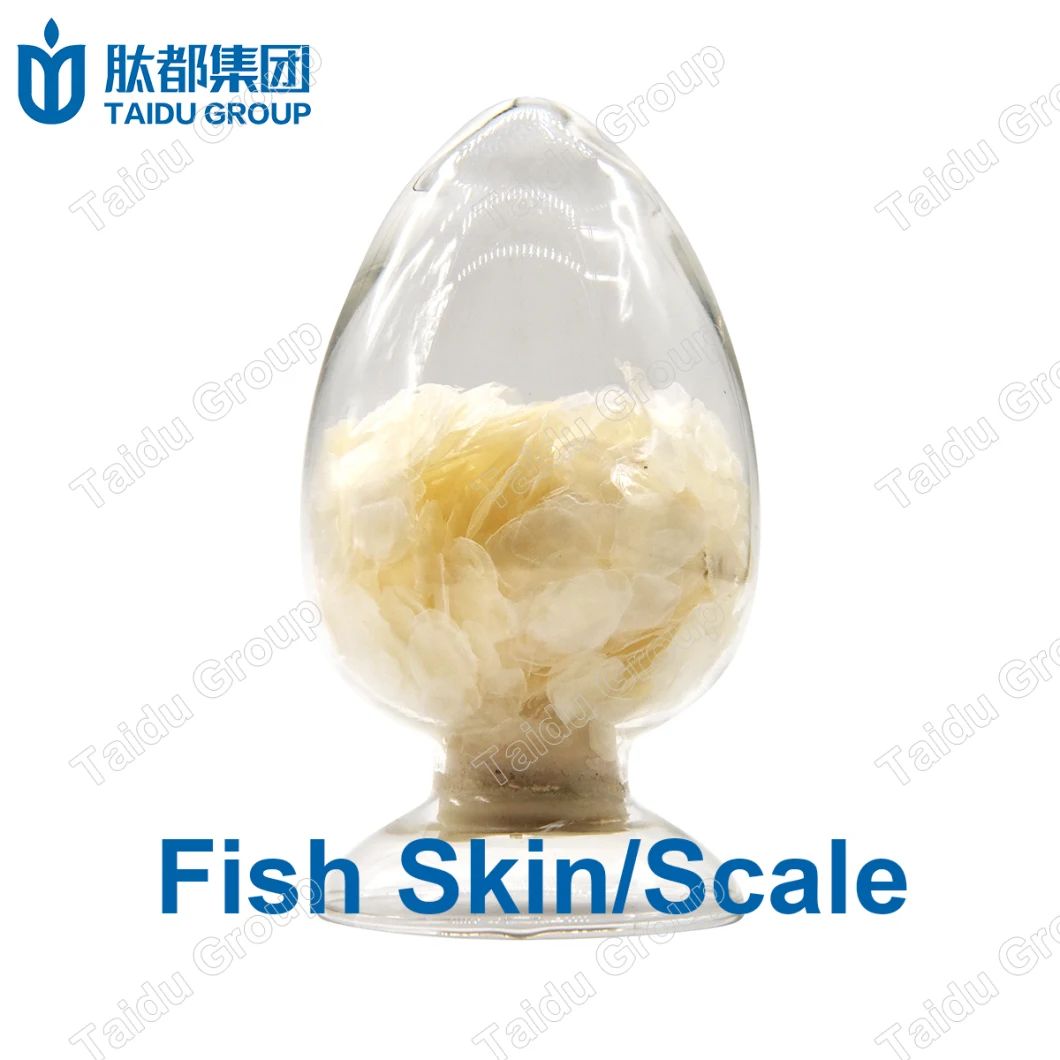 Cod Fish Collagen Protein Peptide Powder Cod Fish Collagen Powder Cod Fish Skin Collagen Powder