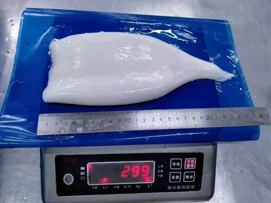 Good Quality Frozen Squid Tube on Sale