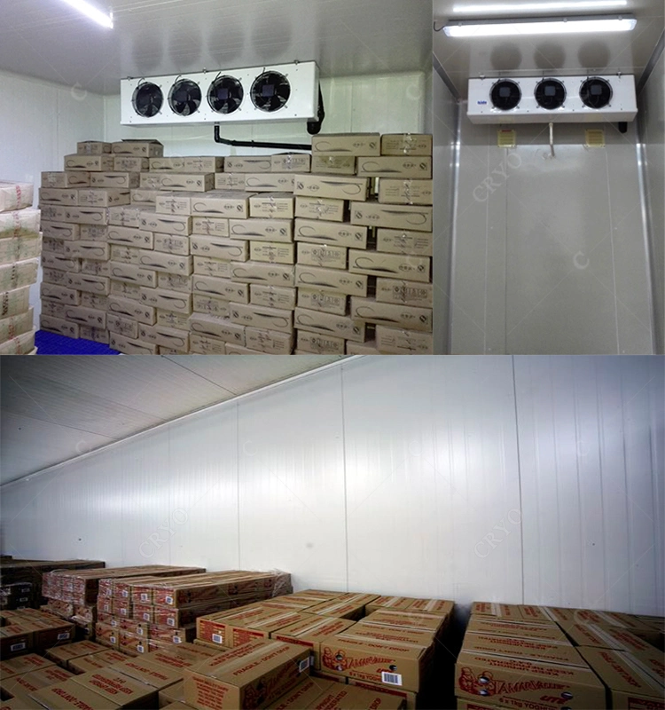 Frozen Oysters Frozen Drink Cold Storage Membership Cold Room in Indonesia Container Blast Freezer for Fish