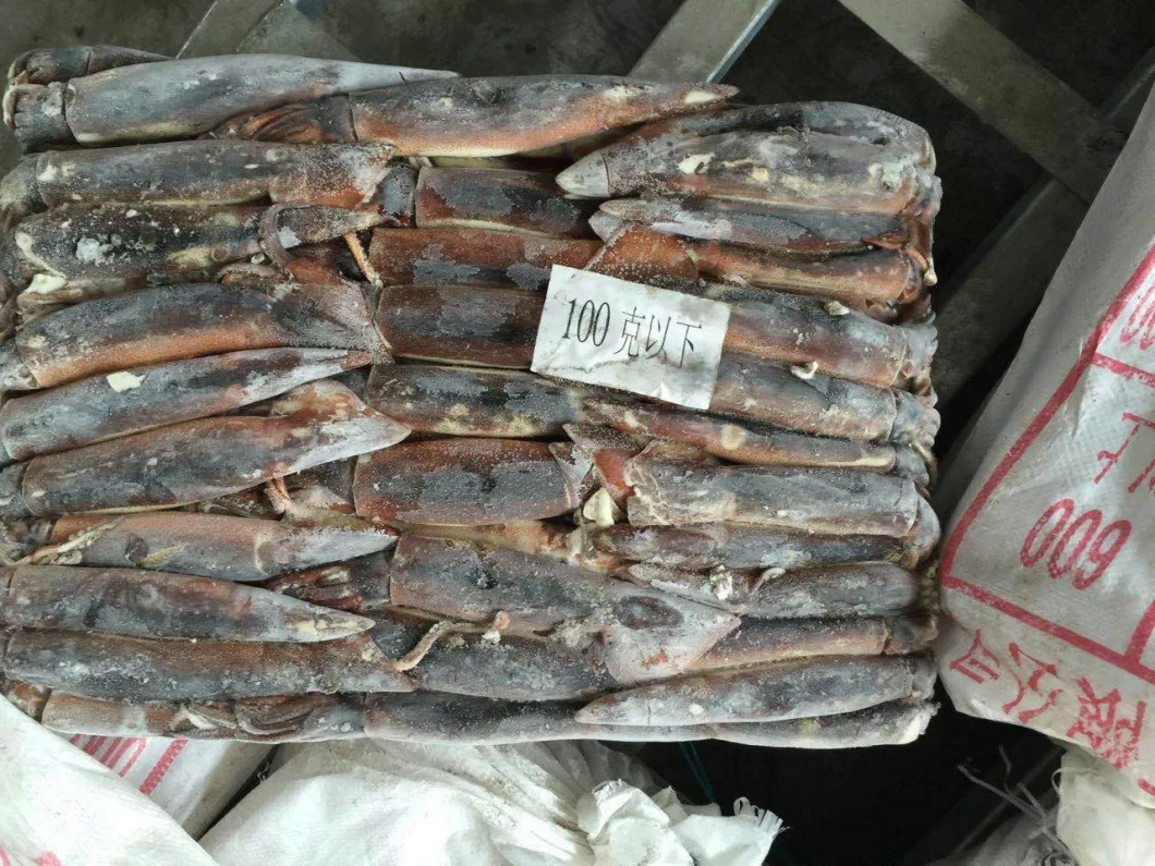 Under 100g Frozen Illex Squid Sea Frozen Squid