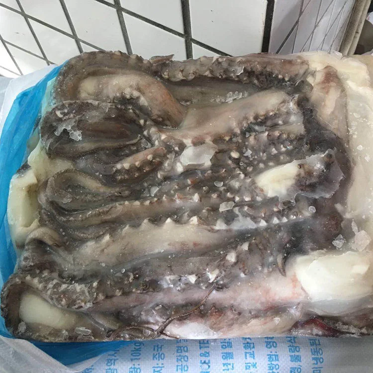 Frozen Giant Squid Tentacles with Best Price