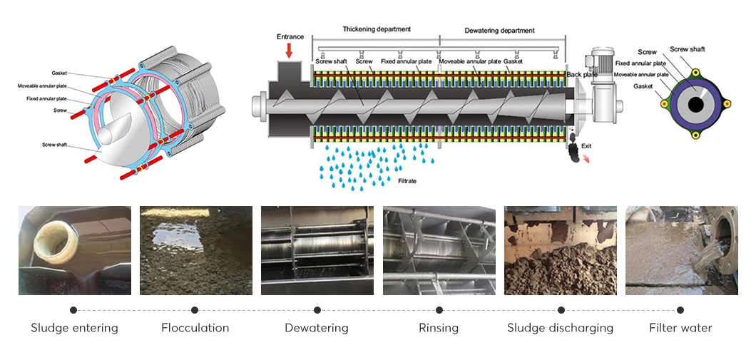 Screw Filter Press Dehydrator Equipment for Municipal Sewage Sludge Treatment