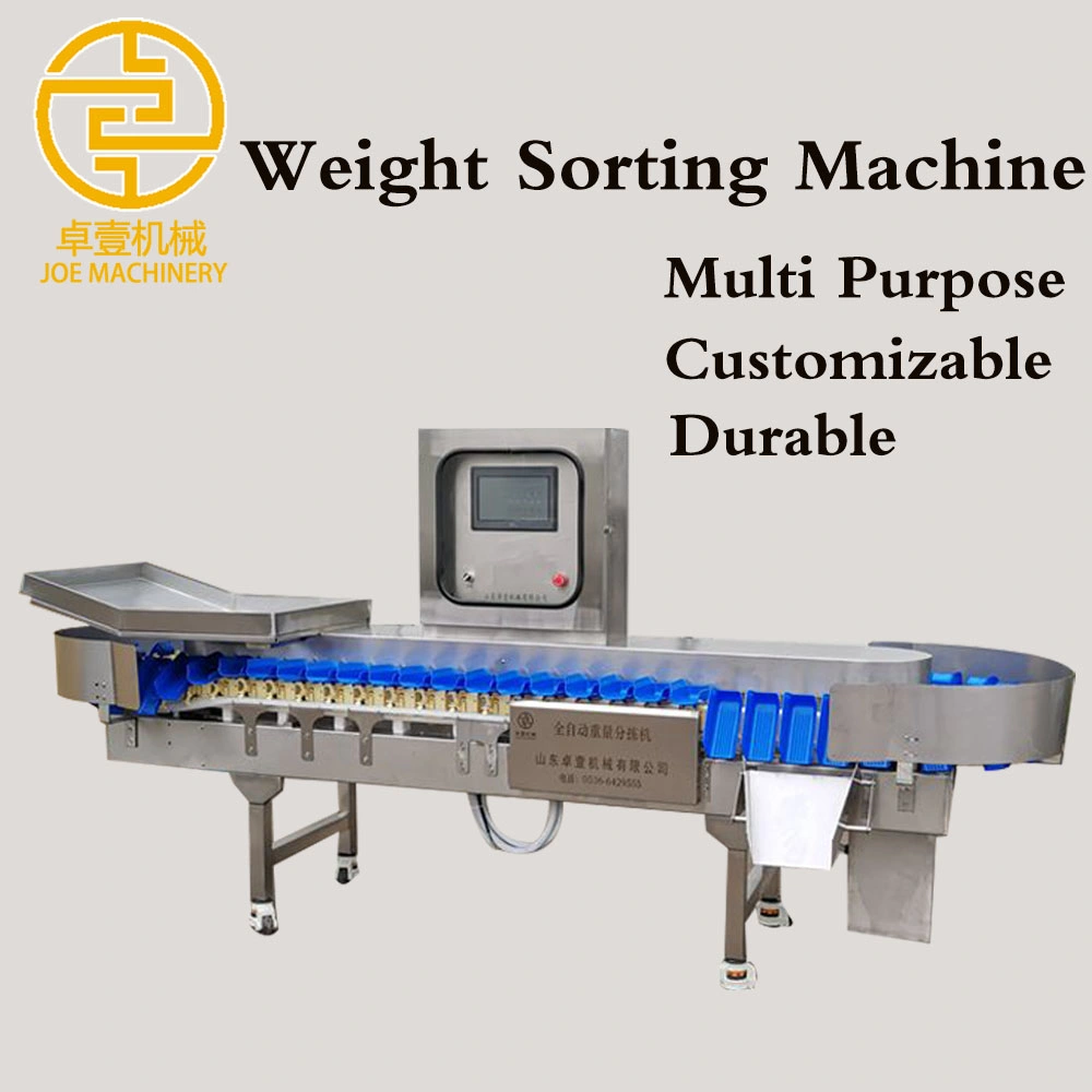 Sea Cucumber Weight Grader Machine/ Scallop Weighing Sorting Machine