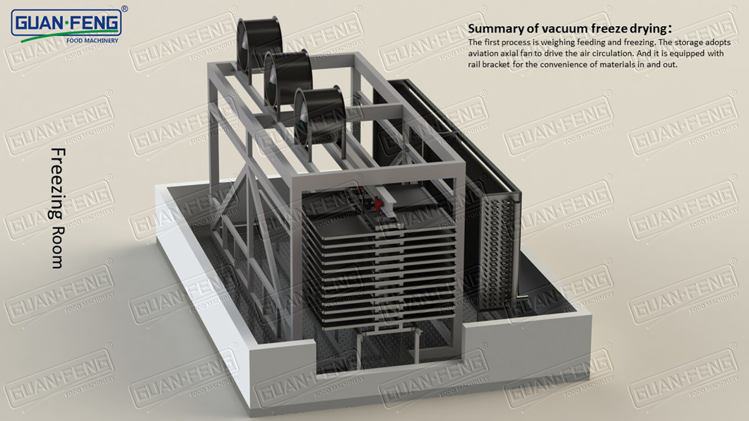 Freeze Dried Japanese Melon Vacuum Freeze Dryer Fruits Lyophilizer