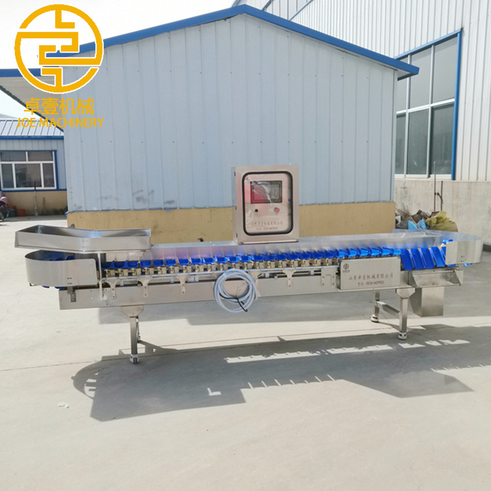 High Precision Weight Sorter for Orange/Apple/Oysters/Yellow Croaker/Red Headed Fish Medicinal Materials