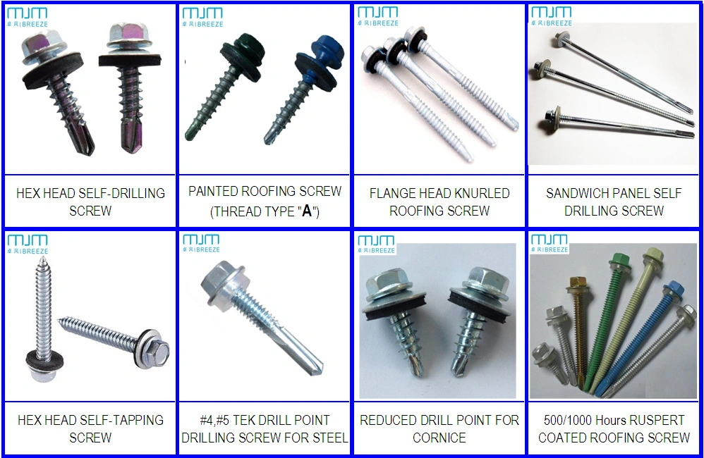 Reduced #1 Drill Point Tek Point Self Drilling Screw for Cornice