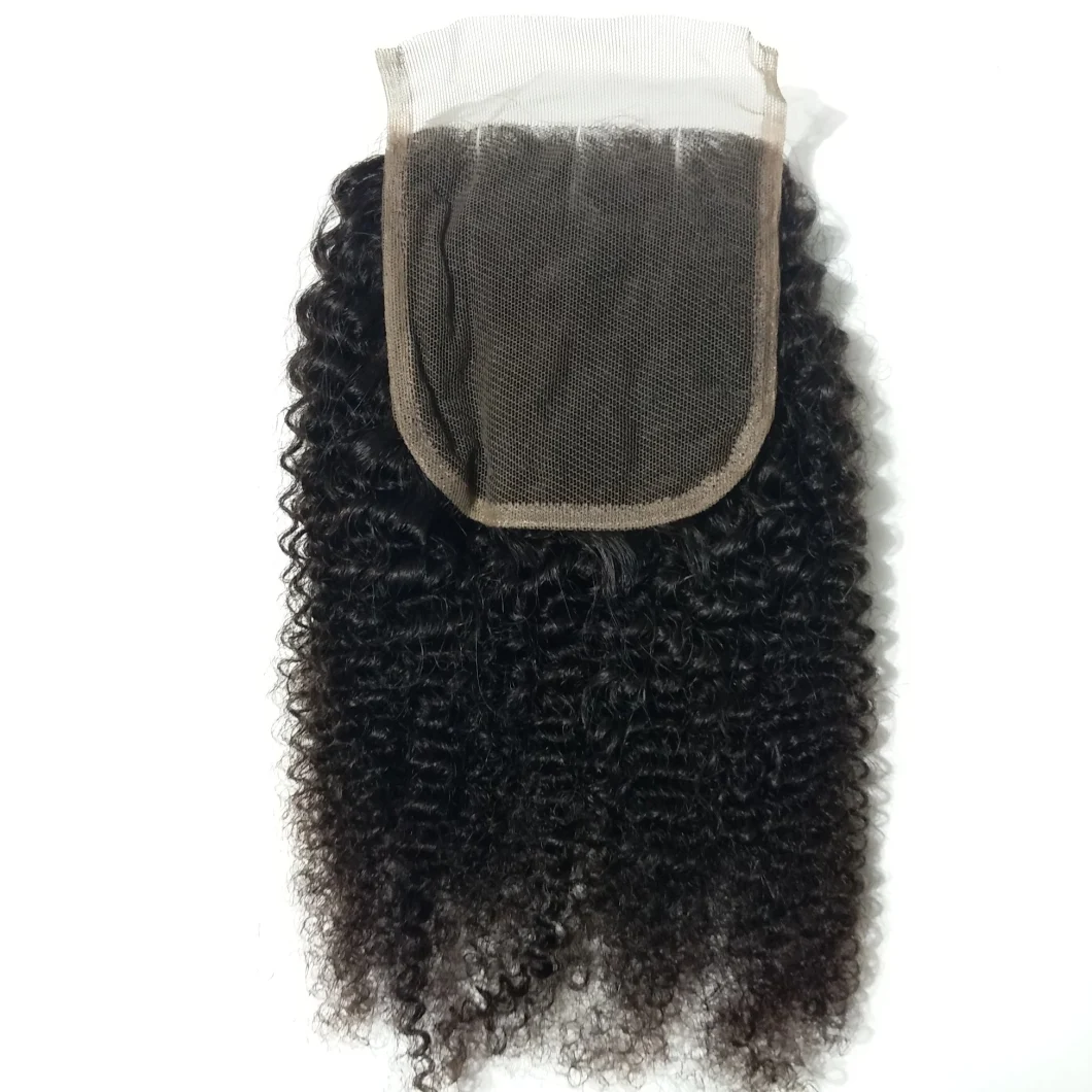 Brazilian Afro Kinky Curly Hair Virgin Remy Curly Hair Bundles