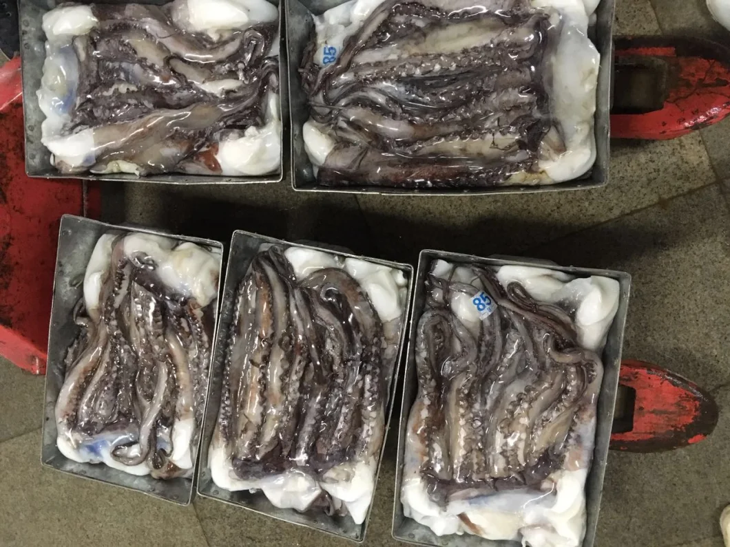 Frozen Peru/Giant Squid Tentacle 100-200g