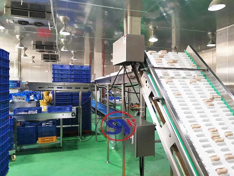 Fully Automatic Selection Weight Sorter Equipment Check Weighing Machine for Classifying Fish Fillet