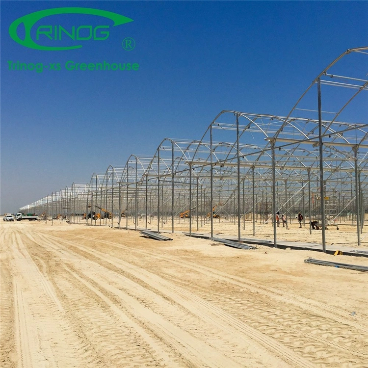 Hot Selling Inner Shading System Cooling Greenhouse With Multi-Span Film Covering Material