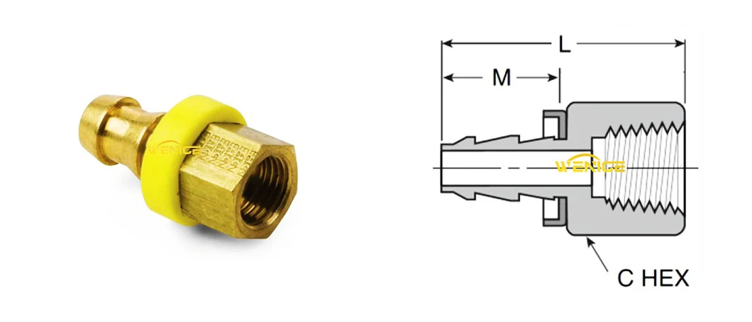 Brass Hose Barb Fitting for Female Pipe