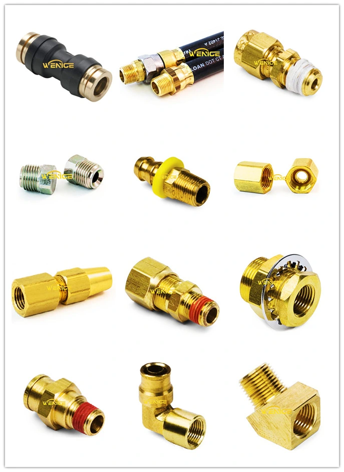 Brass Hose Barb Fitting for Female Pipe