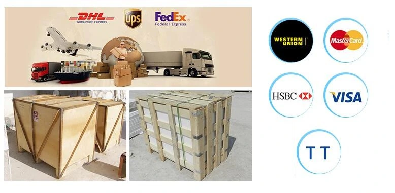 Landscape Decoration Life Size Antique Bronze Stag Statue