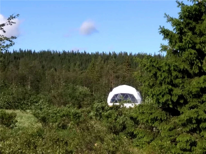 Heat Resist Four Season Camping Tent 8m Geodesic Dome Tent for Glamping