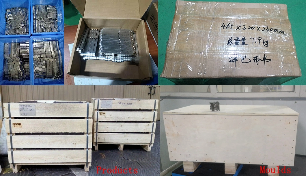 Zz5130b Mold Rapid Tooling Die Casting Plastic Injection Mould Components Slide Holding Devices