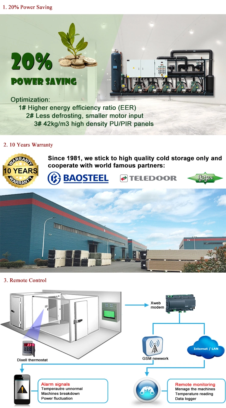 Cold Room Cold Store Cold Storage Cold Storage Room Refrigerated for Meats Freezing Chamber