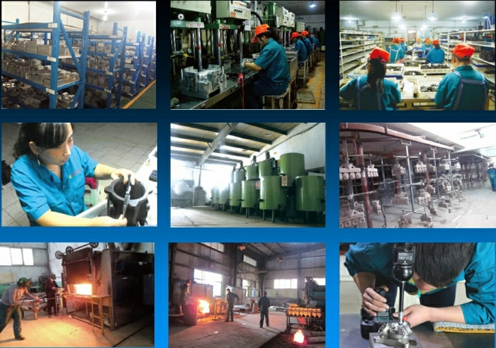 Flange Casting Products/ in Stainless Steel /Alloy Steel by Investment /Precision /Lost Wax Casting